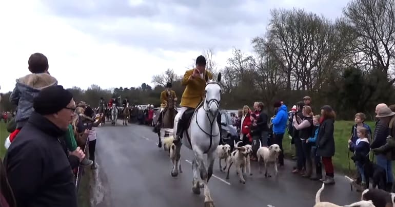 Kimblewick Hounds