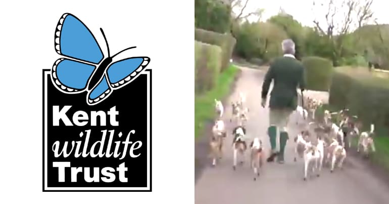 KWT logo and screenshot from video fo the Blean Beagles