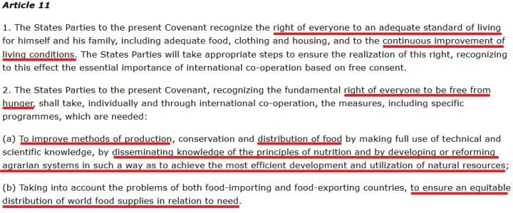 ICESCR - Article 11