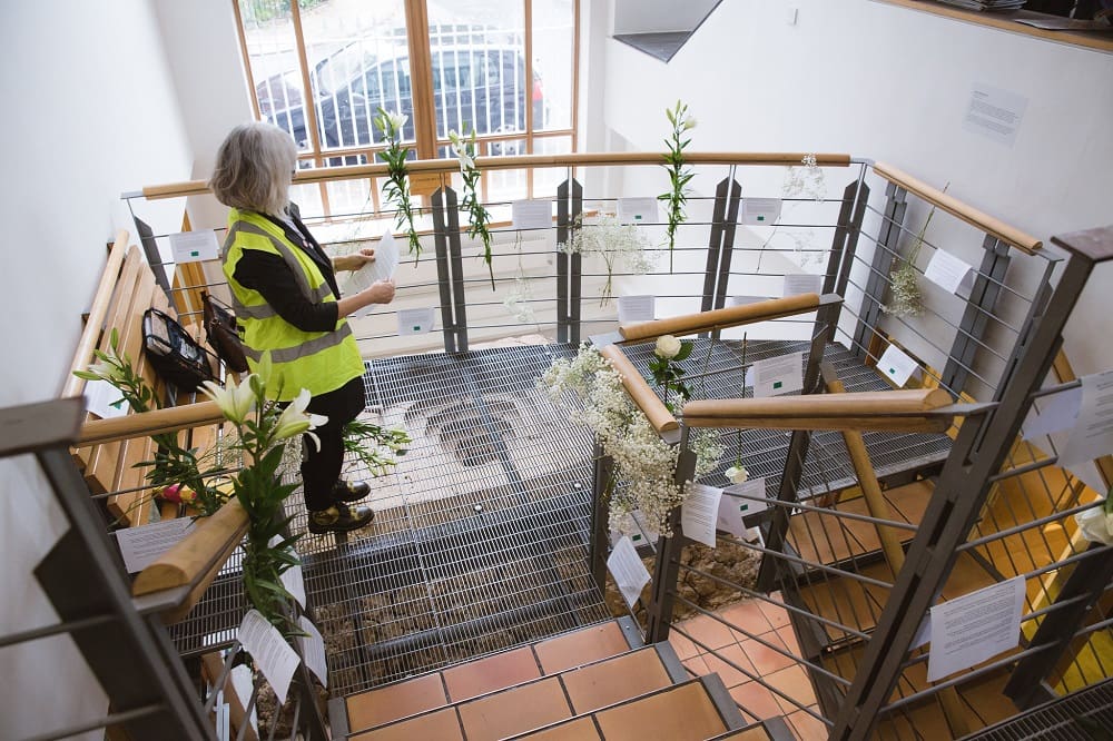 Flowers on a Greenpeace stairwell