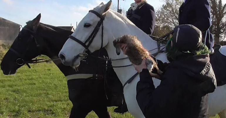 A hunt sab holding up a dead hare to two riders on horseback