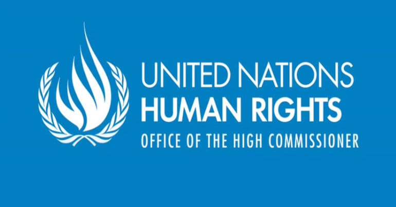 United Nations Logo