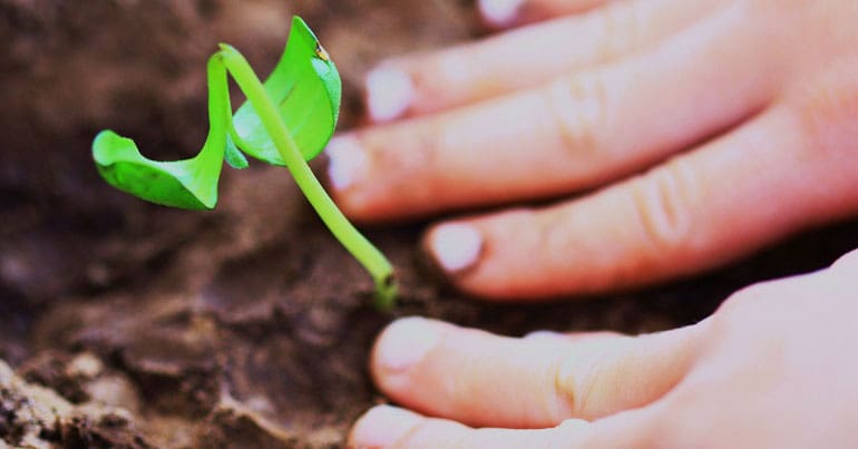 child planting seedling