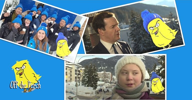 Off The Perch Davos images