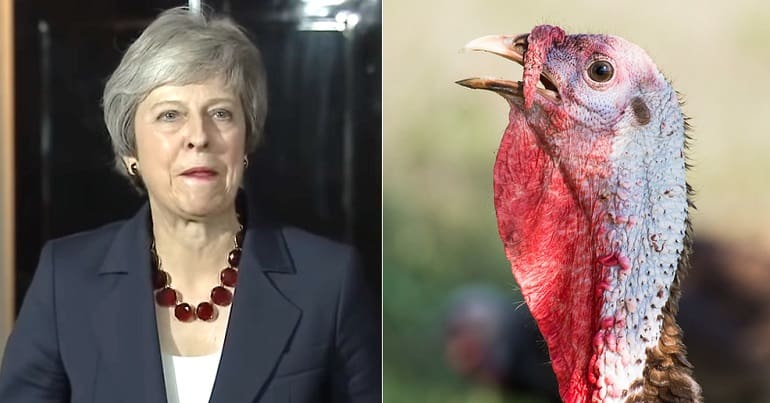 Theresa May and a turkey