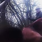 Foxhounds search for fox after hunt people released one they had trapped