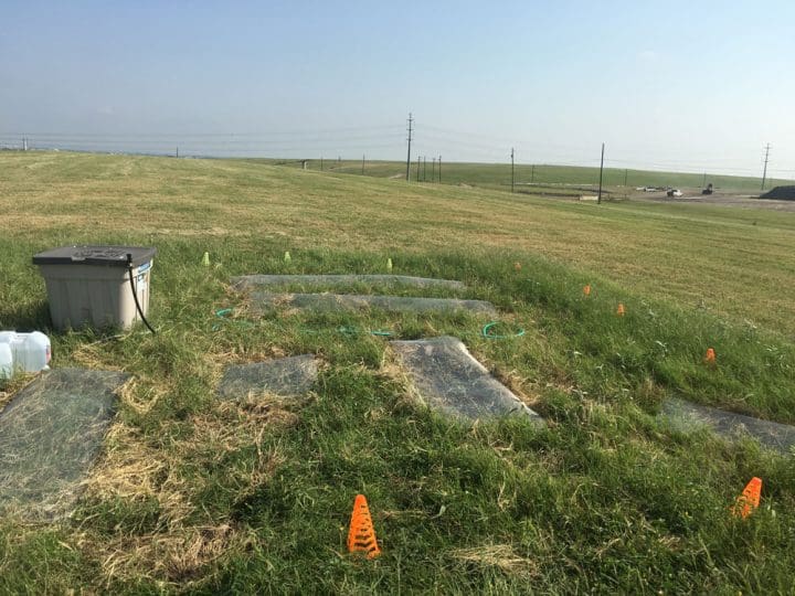 The landfill plot
