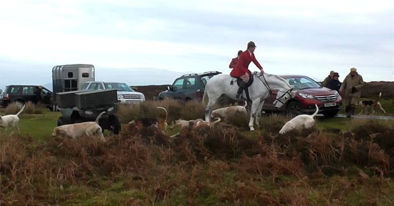 South Shropshire Hunt at Long Mynd