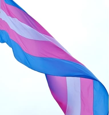 Trans flag and generic British newspapers