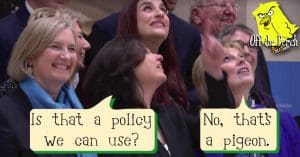 Independent Group MPs looking upwards. One asks "Is that a policy we can use?" Another answers: "No, that's a pigeon."