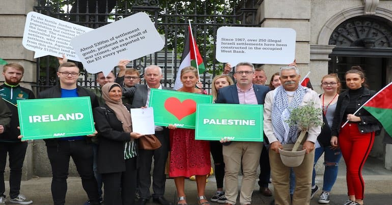 A small number of protesters outside of the Irish parliament holding up pro-Palestine banners