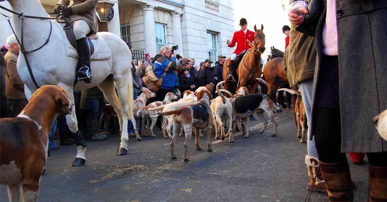 Huntsman and hounds in a town on Boxing Day