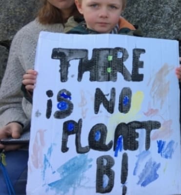 Kids with placards on climate strike