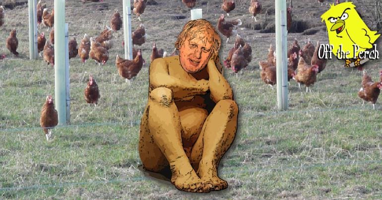 Naked Boris Johnson in a chicken pen