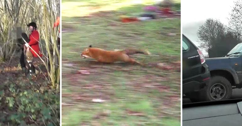 Three panels. Left shows hutsman grabbing a saboteur, middle one shows a fox being chased, right one shows a car being rammed.