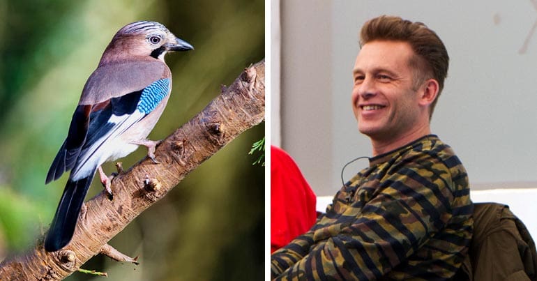 A jay (bird) and Chris Packham