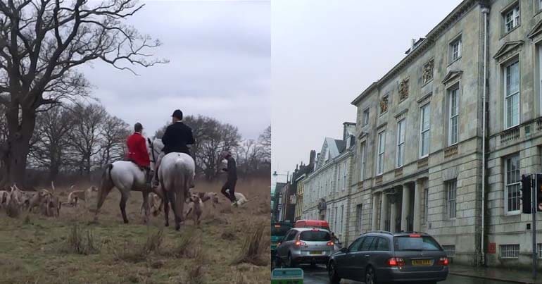 A screenshot of the Crawley and Horsham Hunt next to a photo of Lewes Crown Court