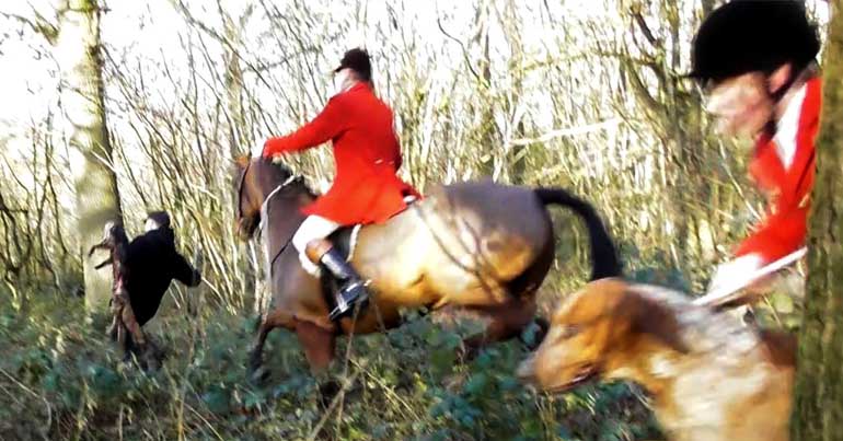 Hunt saboteur holding a dead fox being chased by a huntsman
