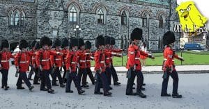 Image of beefeaters