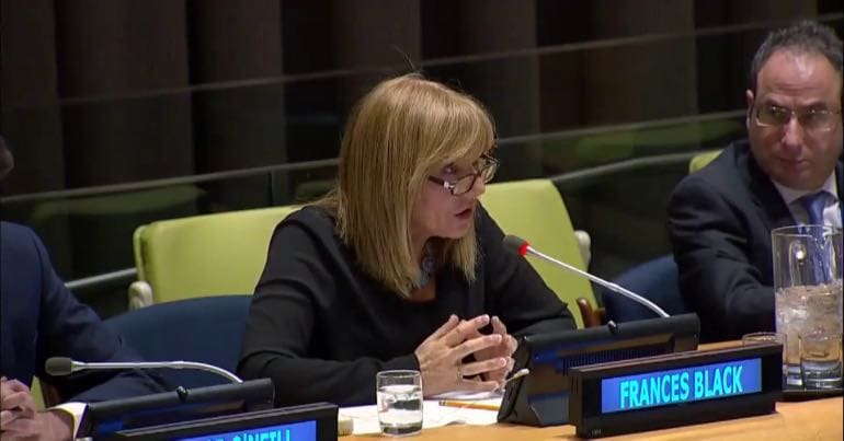 A picture of Irish senator Frances Black discussing her Occupied Territories Bill at the UN Forum on the Question of Palestine.