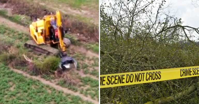 JCB uprooting trees at Claydon Steeple and 'crime scene' tape across uprooted hedges