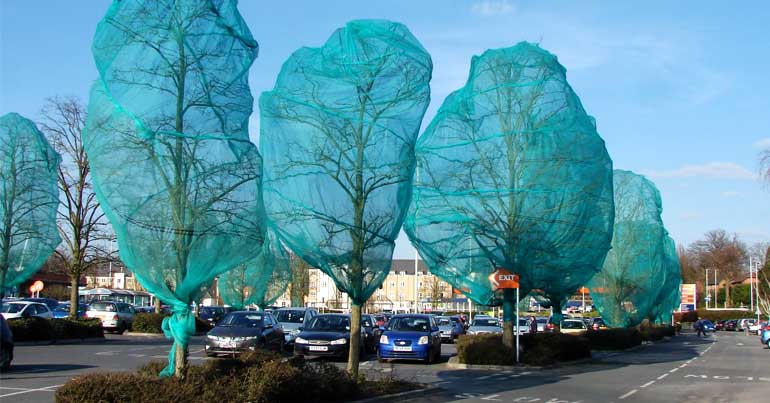 Trees covered in anti-bird netting