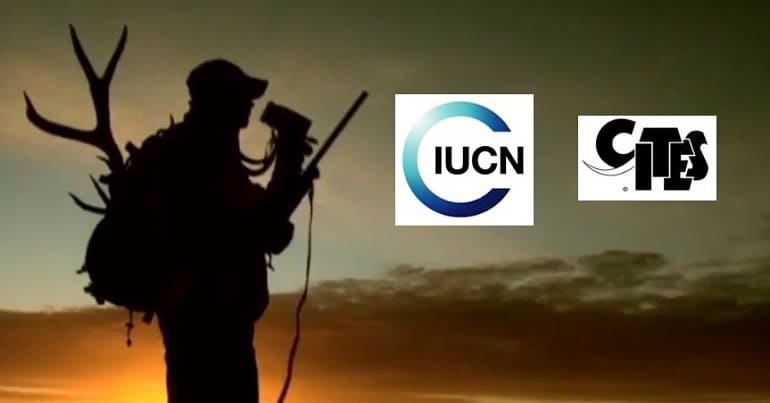 A trophy hunter surveys his hunting ground, alongside the logos for IUCN and CITES