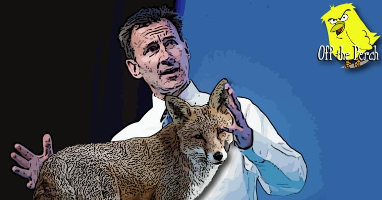 Jeremy Hunt holding a fox