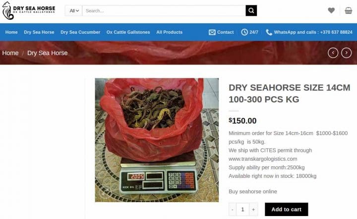Dried seahorses for sale on Ox Cattle Gallstones