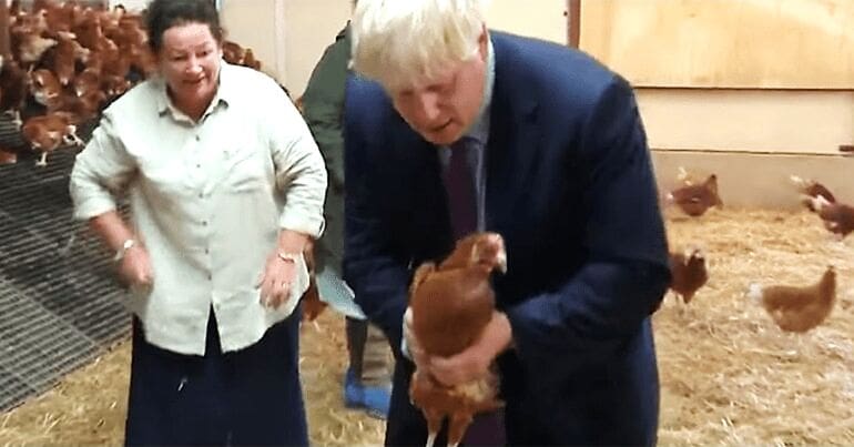 Boris Johnson on a farm