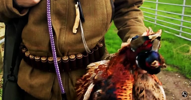 Shooter holding a brace of dead pheasants