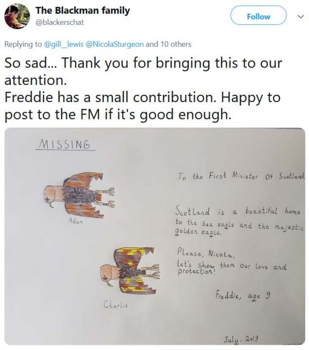 Freddie's drawing, which asks Nicola Sturgeon to show "love and protection" to golden eagles