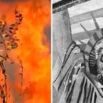 Amazon rainforest fires 2019 and zombie statue of liberty