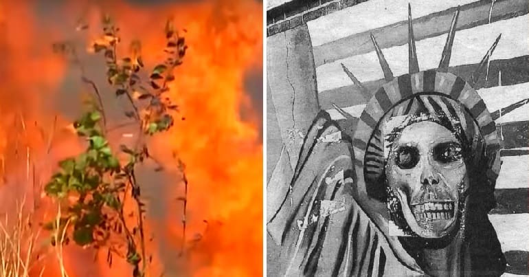 Amazon rainforest fires 2019 and zombie statue of liberty