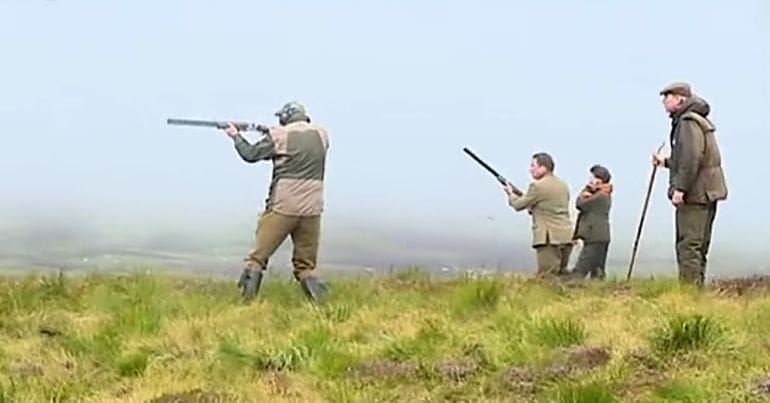 hunters on a moor, shooting grouse