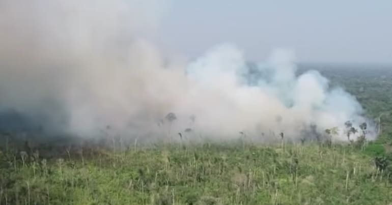 Amazon on fire