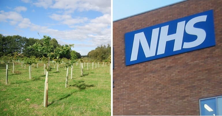 Split image showing newly-planted trees and NHS sign