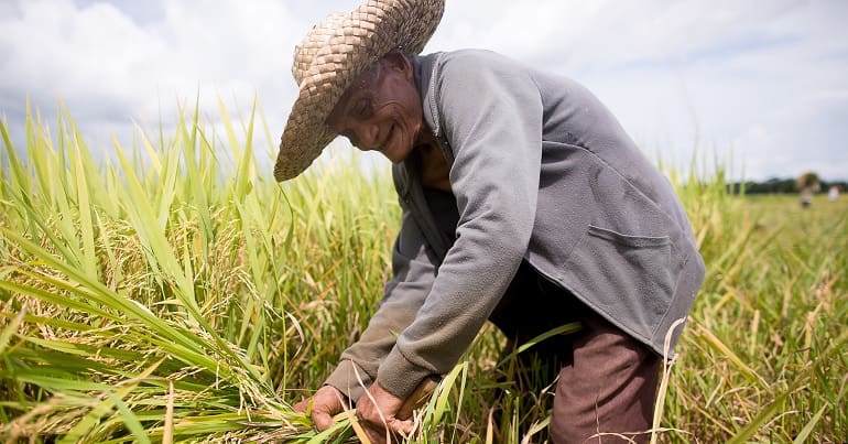Farmer in Philippines