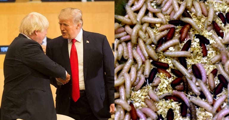 Boris Johnson shaking hands with Donald Trump and maggots