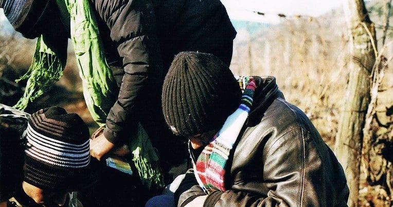 Asylum seekers