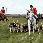 West Midlands Hunt Saboteurs and the Atherstone Hunt
