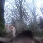 Hunting hounds and terrierman
