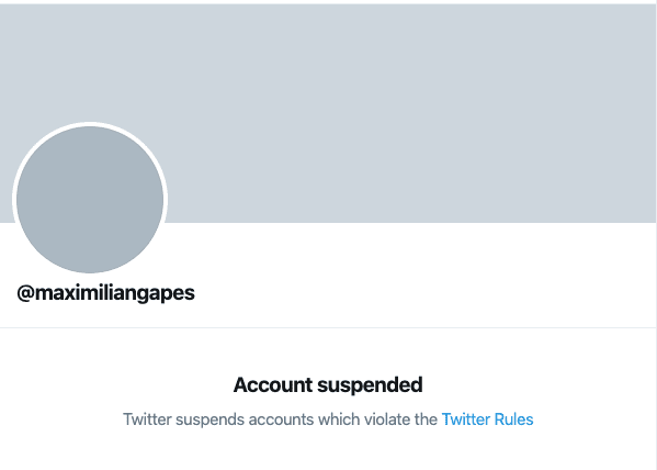 Max Gapes suspended