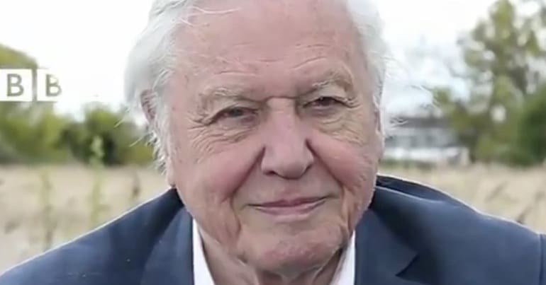 David Attenborough