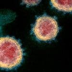 Coronavirus