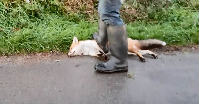 Daivd Sneade standing on a fox on the side of the road