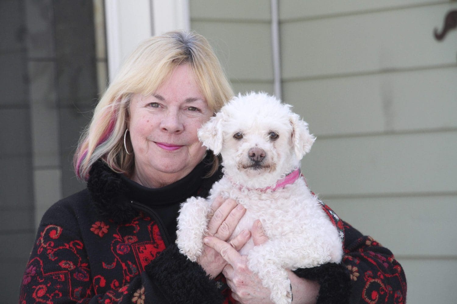 Pet fostering takes off in US as coronavirus keeps people at home