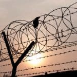Razor wire