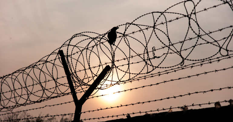 Razor wire