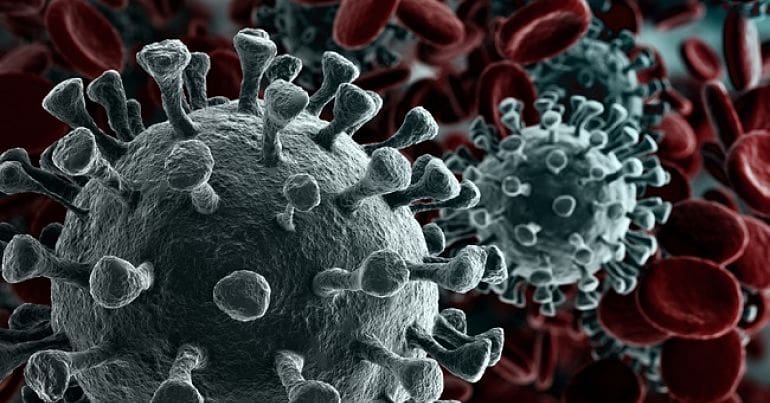 Coronavirus and blood cells image